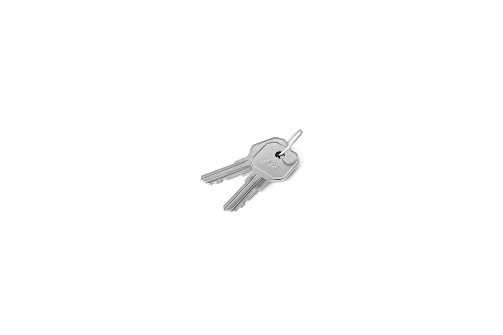 C390A Key Pair – 2 Unbranded Keys (New Without Packaging)